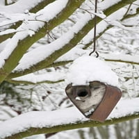 Seabeck ptica u obliku srca u snijegu Don Paulson