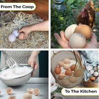 Košarica jaja, sklopivi mini za jaja - sakupljanje jaja