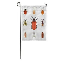 Insect ravna priroda Leteće bubice Beetle mrav i divljač Spider bašte za zastavu Dekorativna zastava